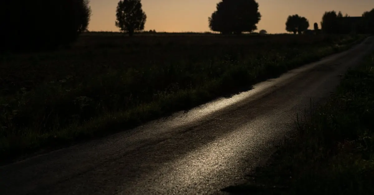 A two-lane rural road through Virginia farmland at the start of a familiar drive
